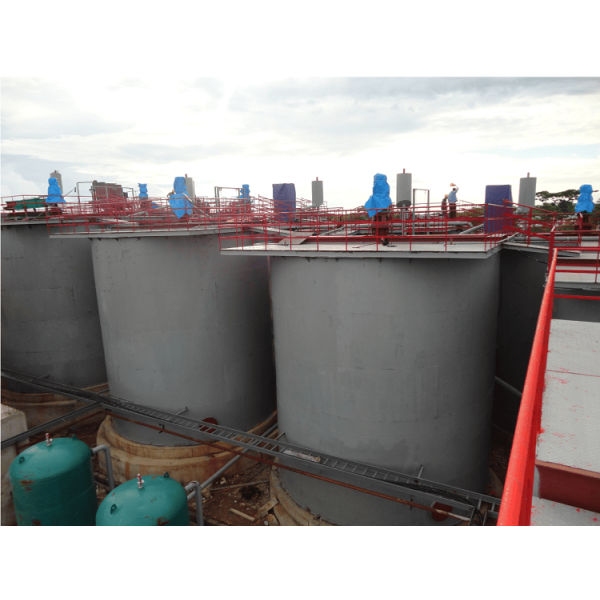 골드 CIP 프로세스